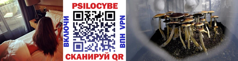 Псилоцибиновые грибы прущие грибы  darknet клад  Бирюч  где купить наркоту 
